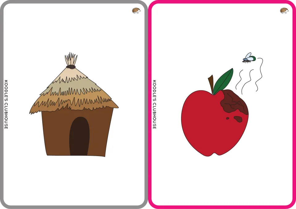 CVC picture flashcards for hut and rot: a thatched hut and a rotting red apple with a fly, to say and spell each word