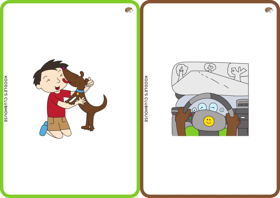 Picture flashcards 9–10 show a dog licking a boy and a driver's view of a foggy road for lick and fog