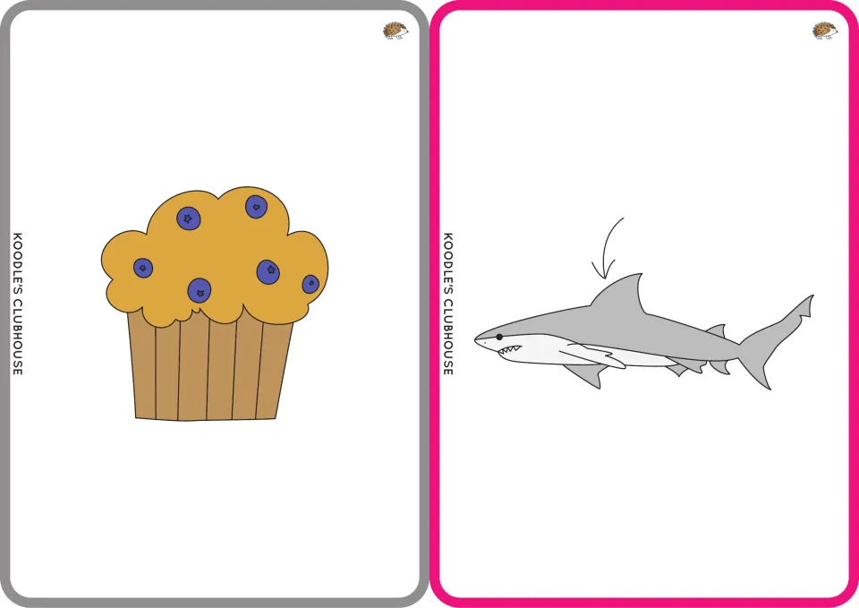 Picture flashcards 13–14 show a muffin and a shark with an arrow pointing to its fin for muffin and fin