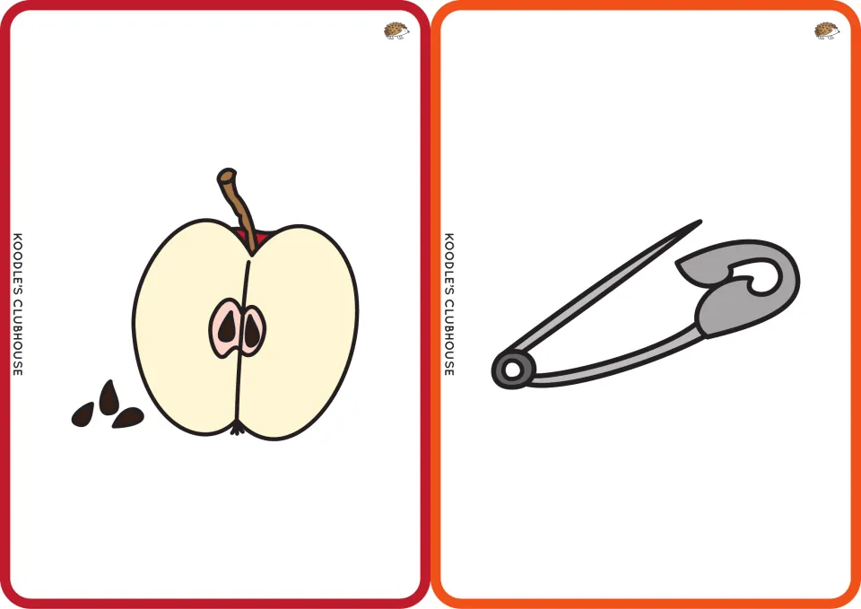 Picture cards without words: a halved apple showing its pips and an open safety pin, for students to name each word