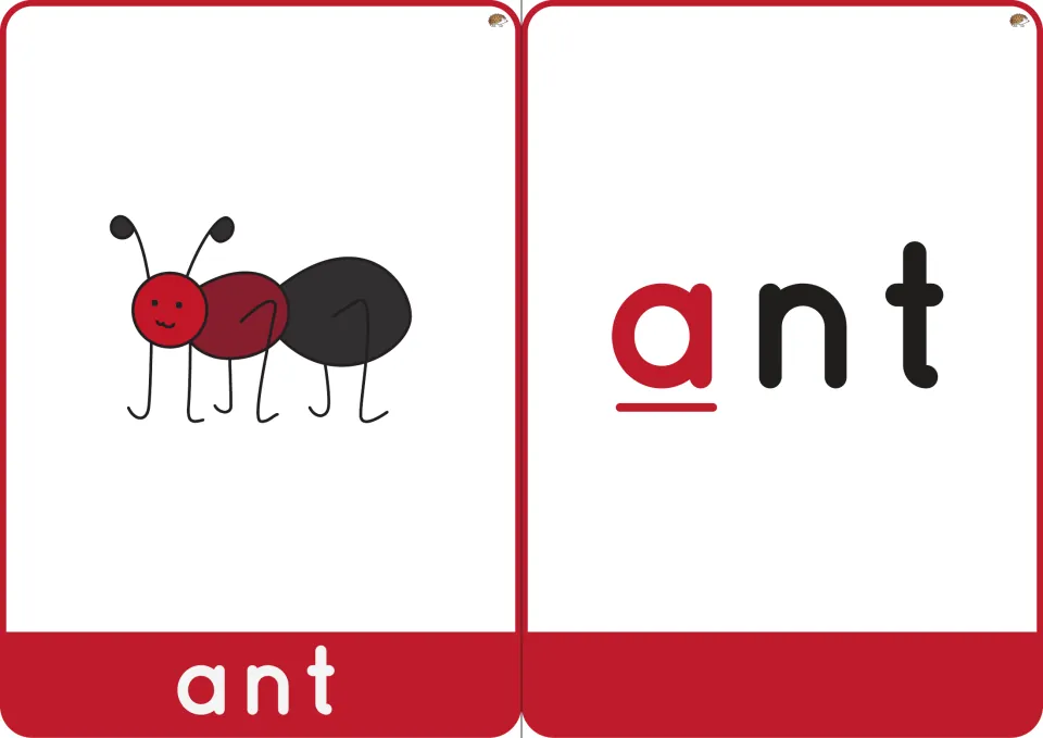 Word ant cards: a cartoon ant picture labeled ant beside the word ant with the first letter a in red and underlined