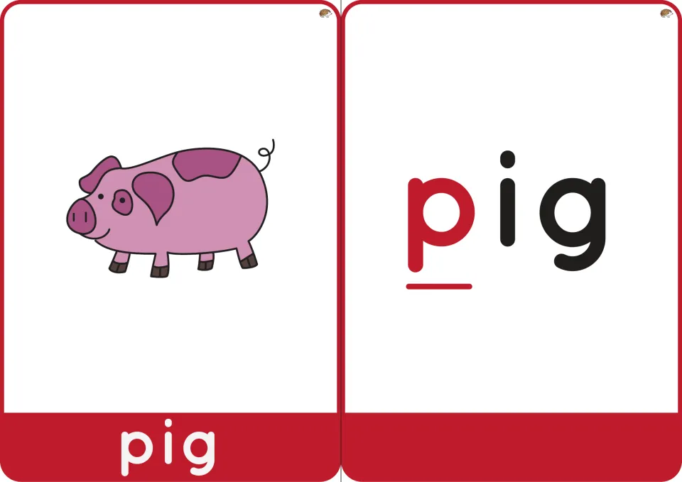 Word pig cards: a pink spotted pig picture labeled pig beside the word pig with the initial p in red and underlined