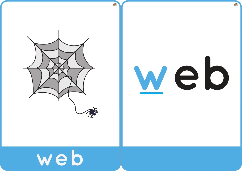 Word cards for web: a spider web picture labeled web, and the word web with its starting letter w underlined in blue
