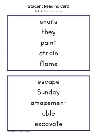 Phonics Progress Monitoring – 17 Tracking Forms – sample page 2