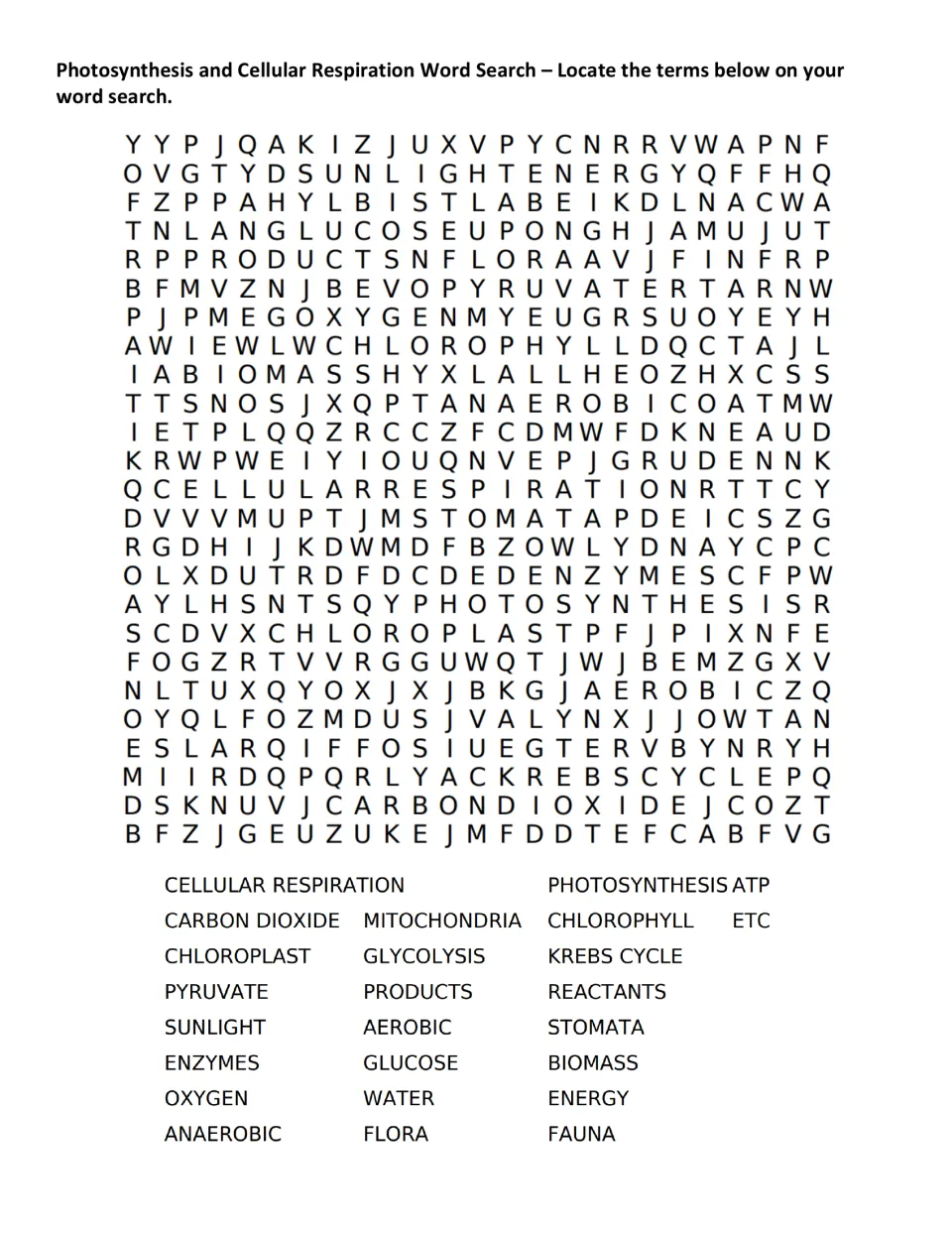 Science vocabulary word search for 25 terms, including photosynthesis, cellular respiration, ATP, and glucose
