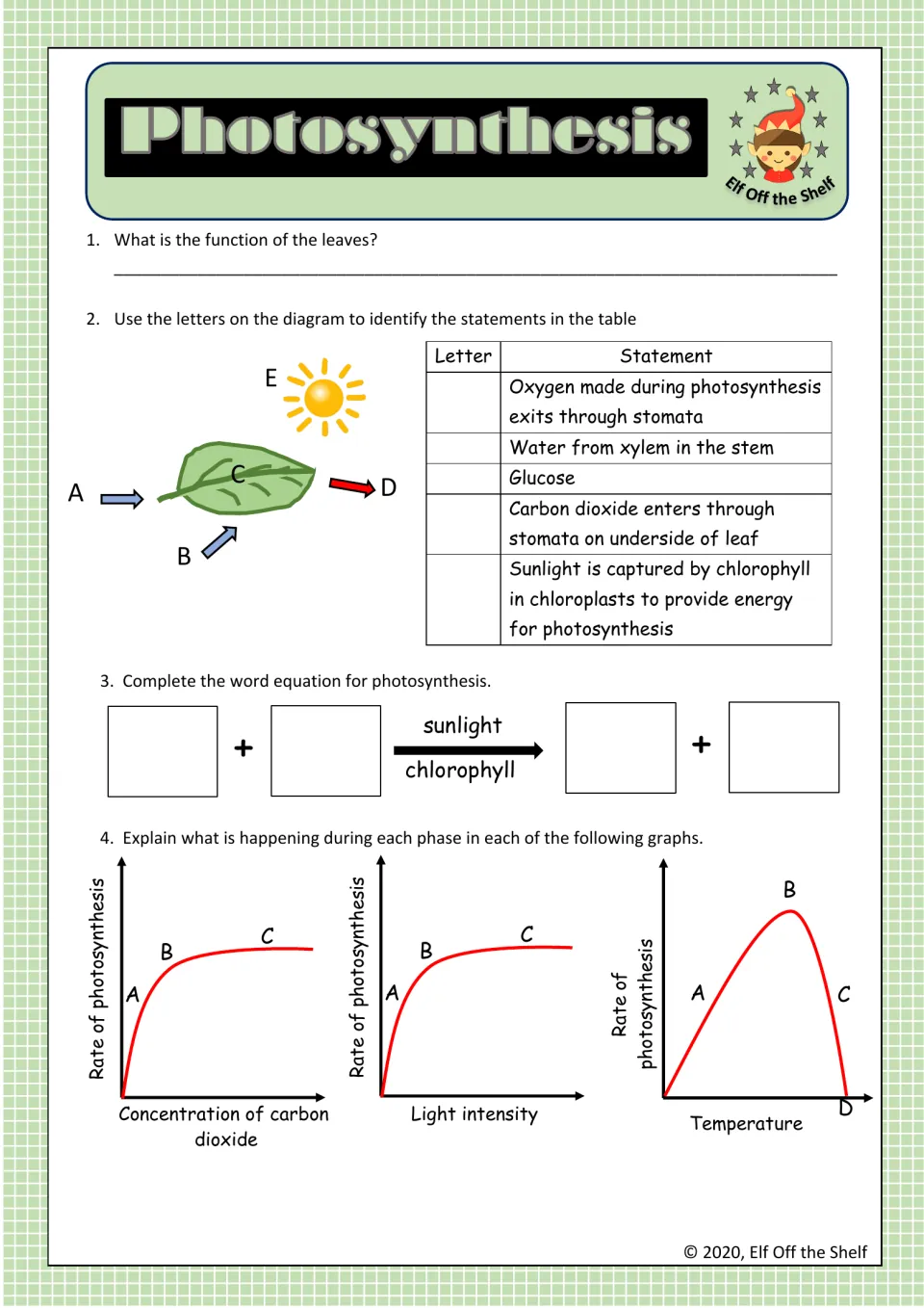 Photosynthesis worksheet, questions 1–4: leaf function, a word equation, gas exchange, and rate graphs.