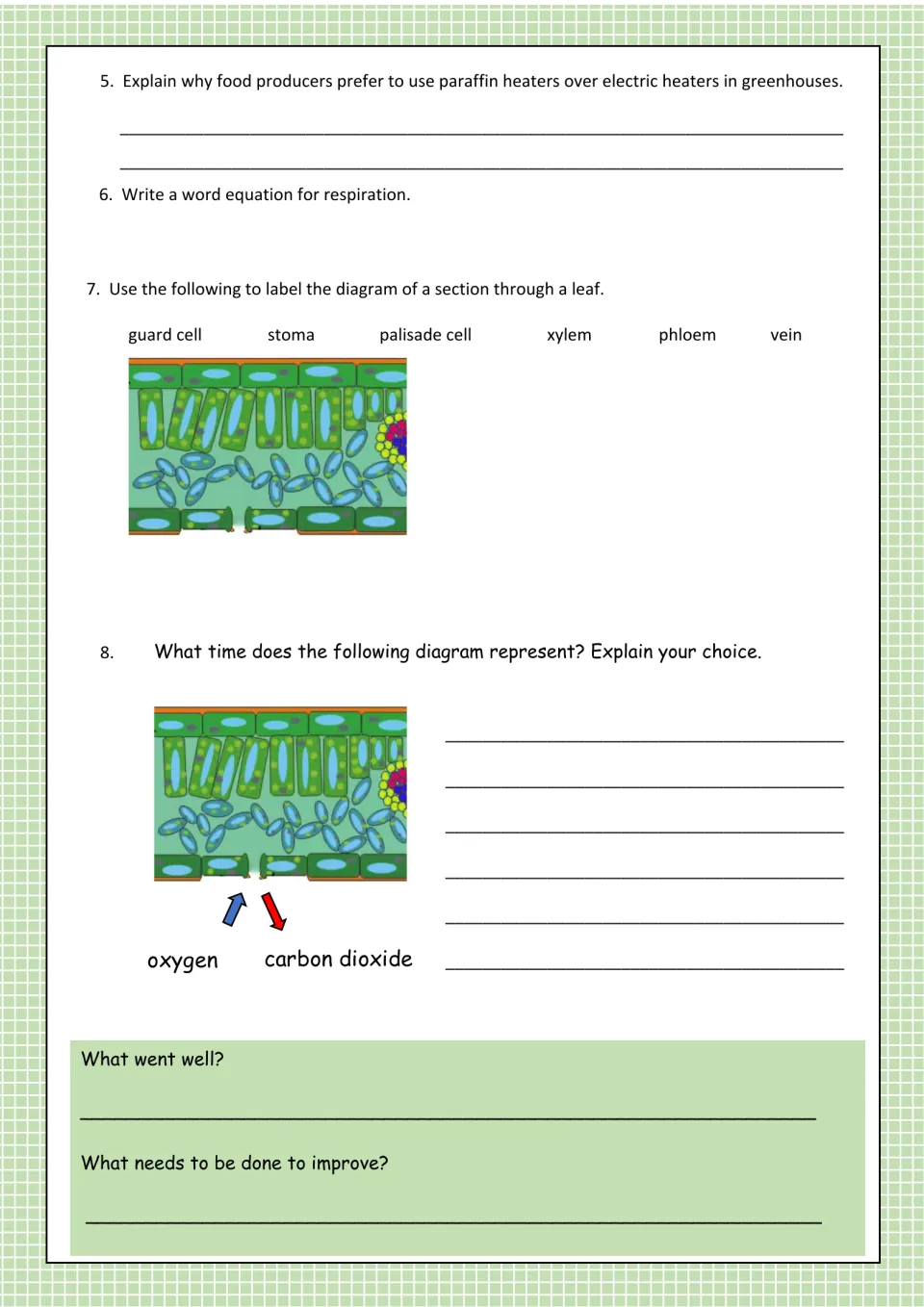 Photosynthesis worksheet, questions 5–8: greenhouse heaters, respiration, leaf anatomy, and gas exchange.