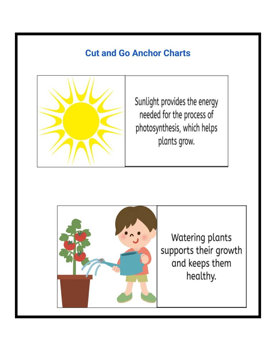Anchor chart cards: a sun card on sunlight giving energy for photosynthesis and a child watering a tomato plant