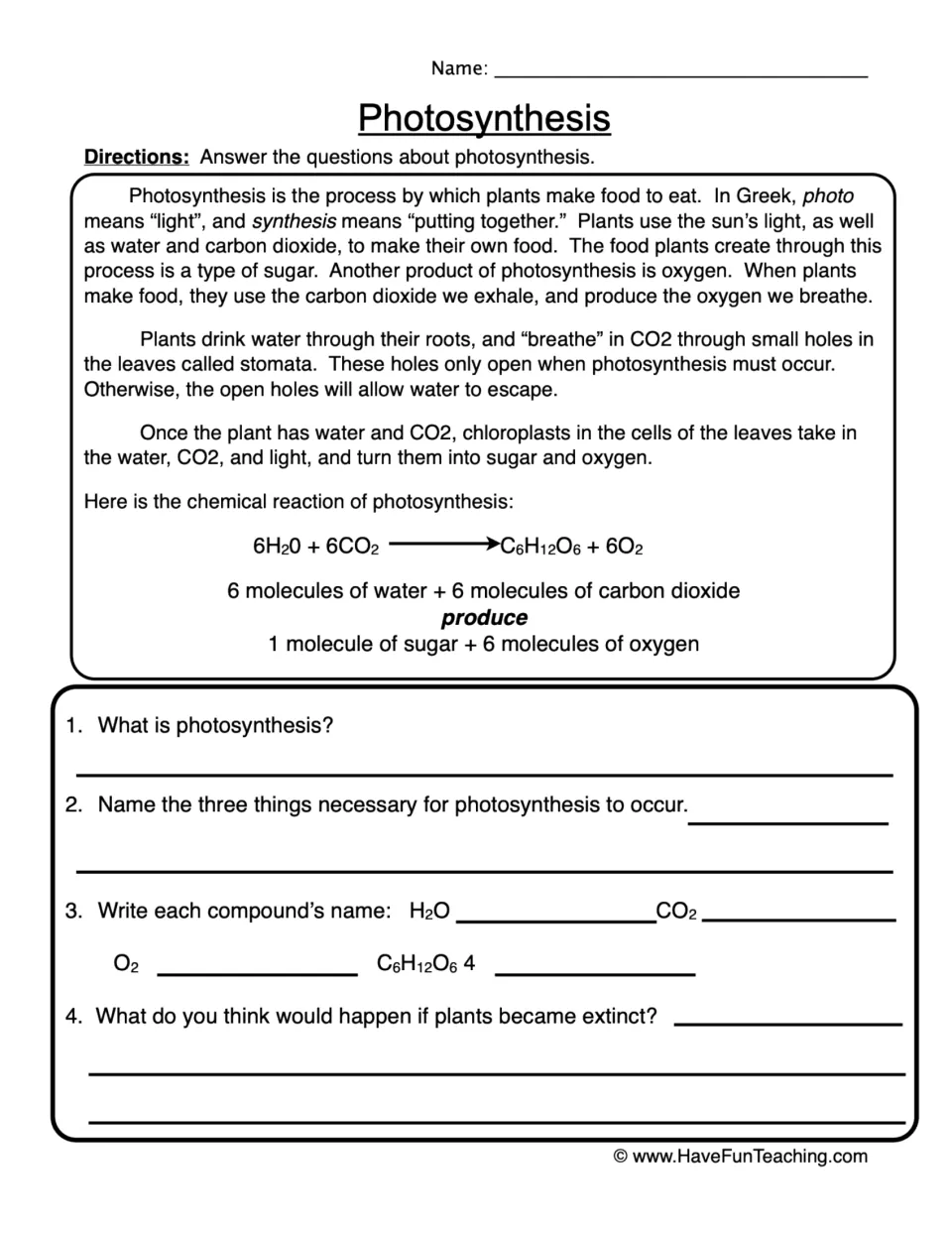 Photosynthesis passage on stomata, chloroplasts and the chemical equation; students answer 4 questions and name compounds