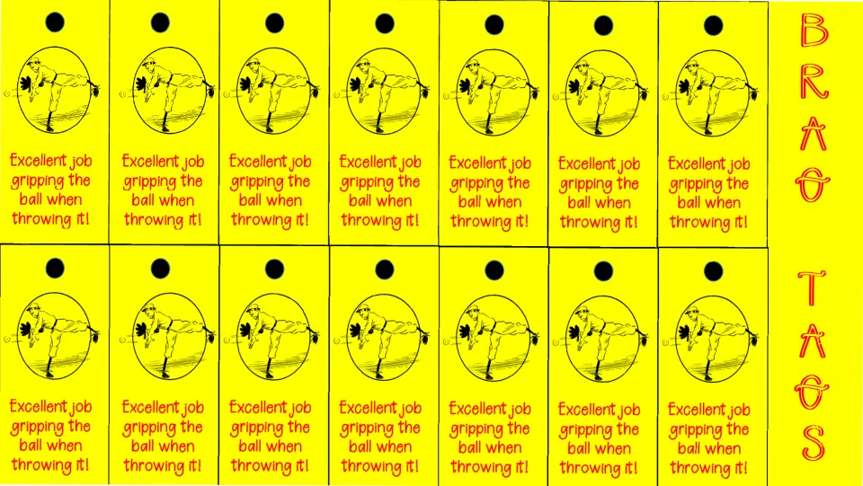 Overhand throw brag tags: 14 color copies praising students for gripping the ball when throwing it.