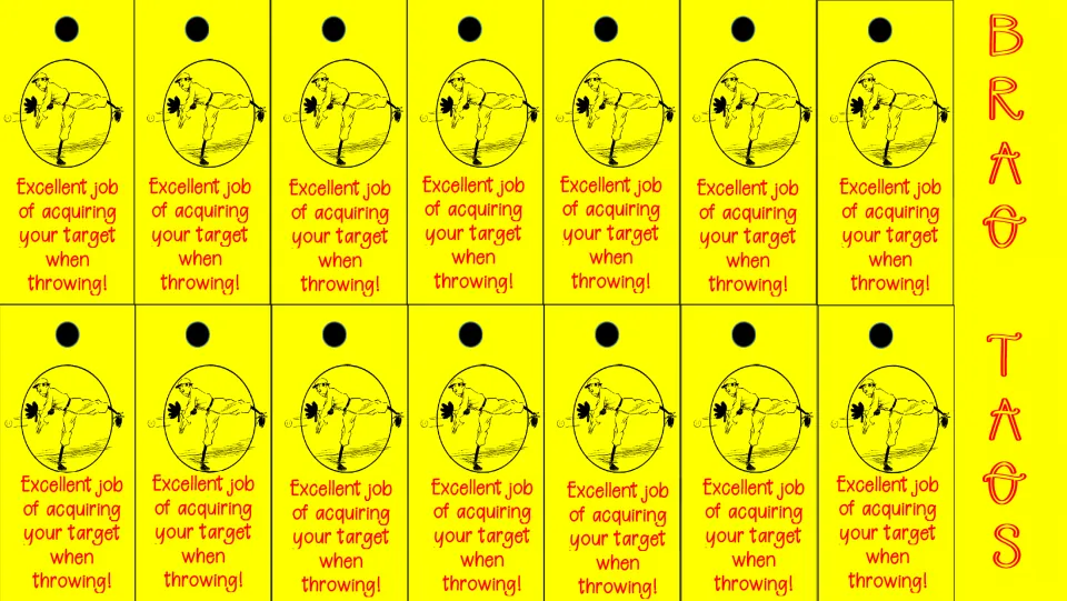 Overhand throw brag tags: 14 color copies praising students for acquiring their target when throwing.