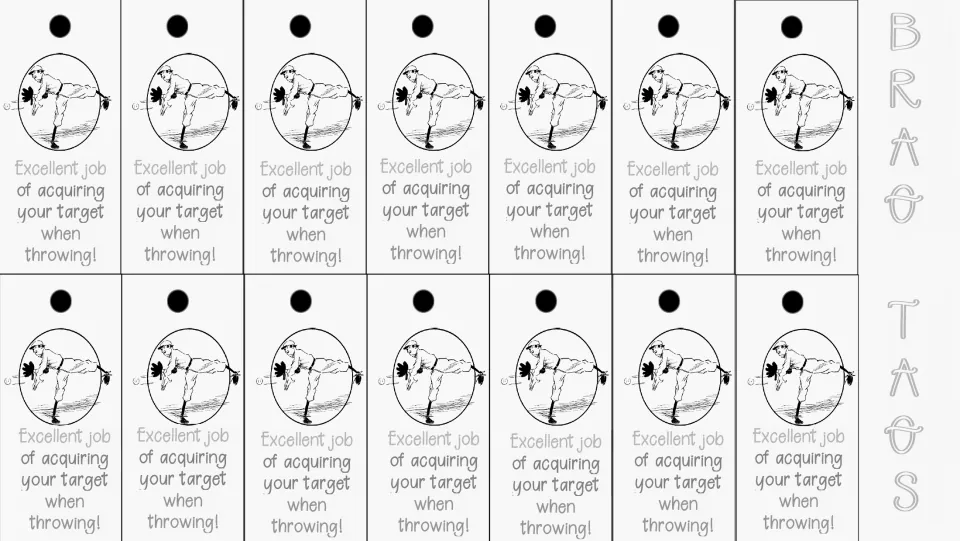 Overhand throw brag tags: 14 black-and-white copies praising students for acquiring their target when throwing.