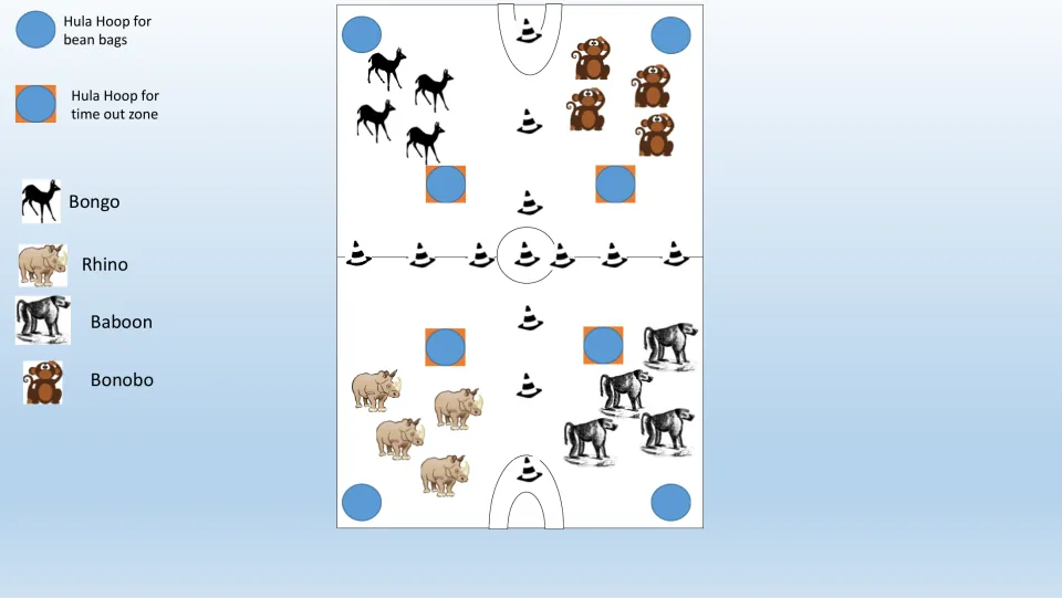 Color gym setup diagram for the game, showing four animal teams, beanbag hoops, and time-out hoops
