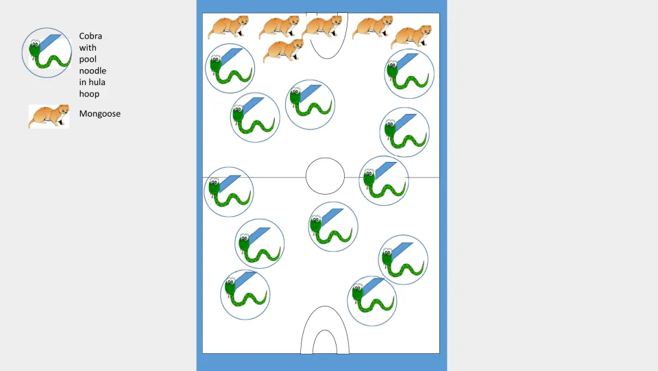 Game setup diagram in color: cobras with pool noodles in hula hoops spread across the court, mongooses lined up at one end