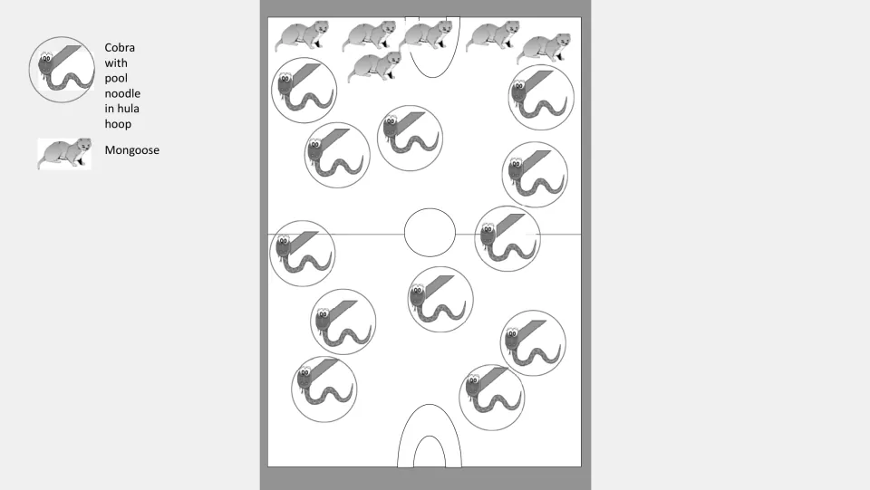 Grayscale court diagram showing cobras in hula hoops with noodles and a row of mongooses waiting at one end line