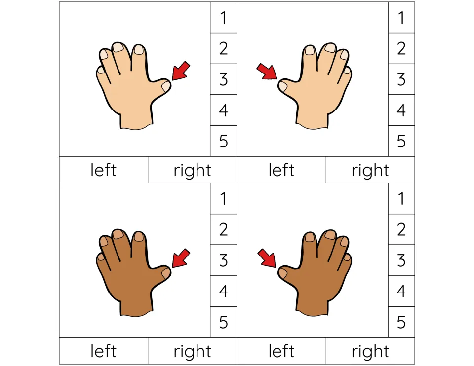 Thumb as finger 1: four cards with left and right hands in light and brown skin; students clip the finger number and hand