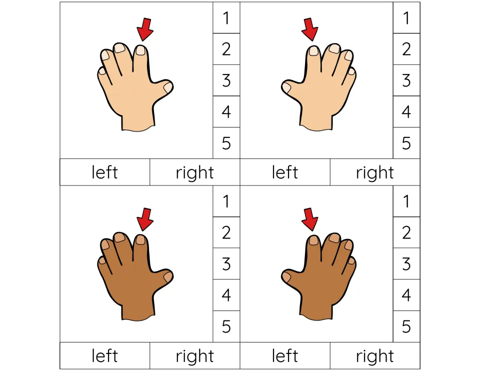 Index finger as finger 2: four cards, left and right hands in light and brown skin; students clip the number and the hand