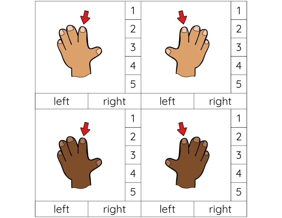 Finger 2 cards: index fingers marked by arrows on tan and dark brown left and right hands; students clip 2 and the hand