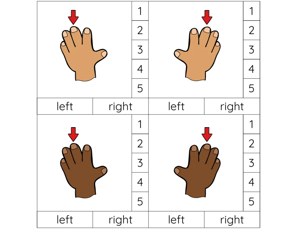 Finger 3 cards: middle fingers marked by arrows on tan and dark brown left and right hands; students clip 3 and the hand