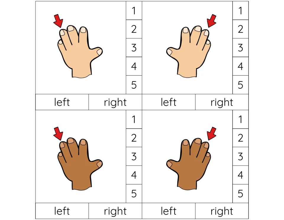 Ring finger as finger 4: four cards, left and right hands in light and brown skin; students clip the number and the hand