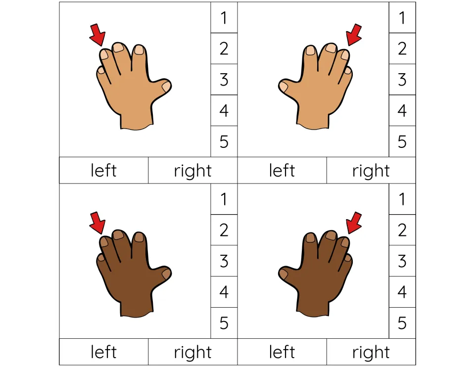 Finger 4 cards: ring fingers marked by arrows on tan and dark brown left and right hands; students clip 4 and the hand