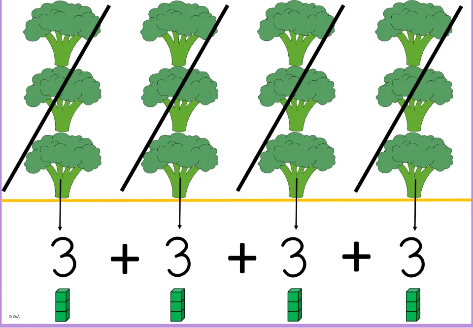 Multiplication-by-3 model showing four broccoli groups of three, 3 + 3 + 3 + 3, and four three-cube stacks