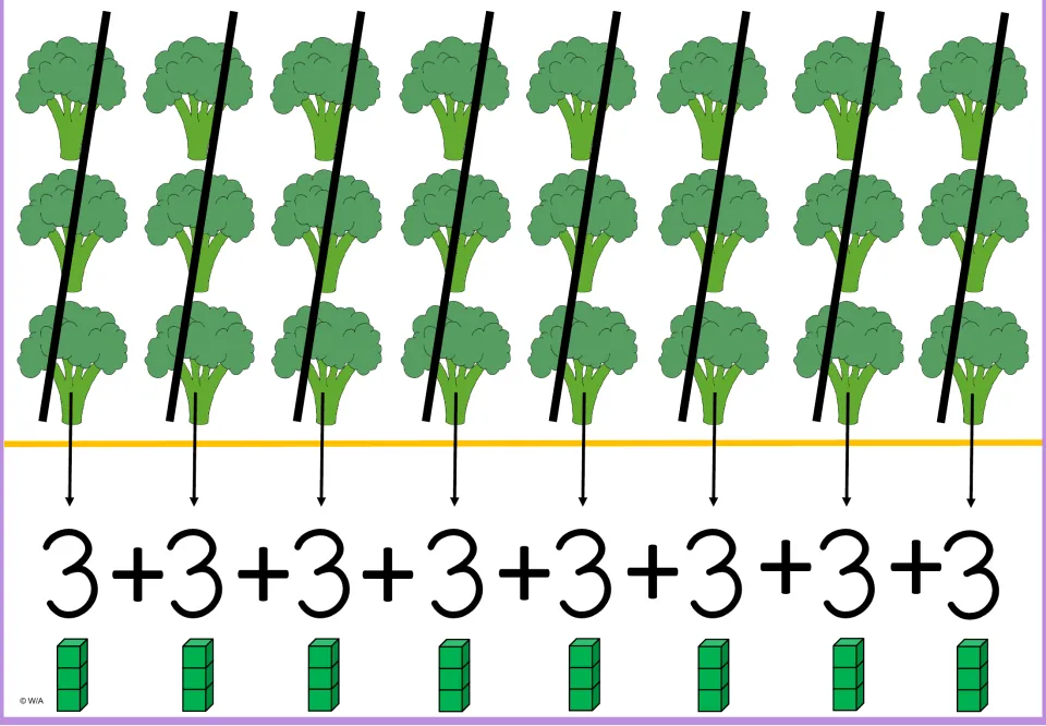 Multiplication-by-3 model showing eight broccoli groups of three, eight 3s added, and eight three-cube stacks