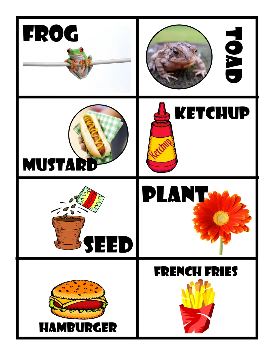 Word association cards with photos and clip art: frog and toad, mustard and ketchup, seed and plant, hamburger and fries