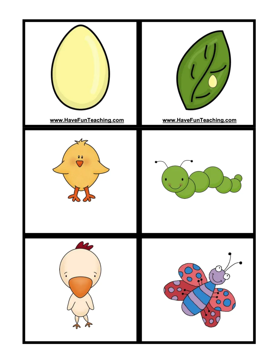 Life cycle sequencing cards to cut out: egg, chick and grown chicken; egg on a leaf, caterpillar and butterfly