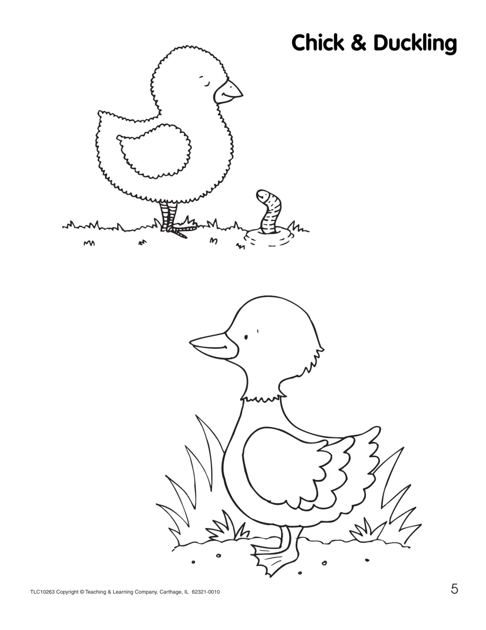 Chick & Duckling coloring page: students color a fluffy chick beside a worm and a duckling standing in tall grass