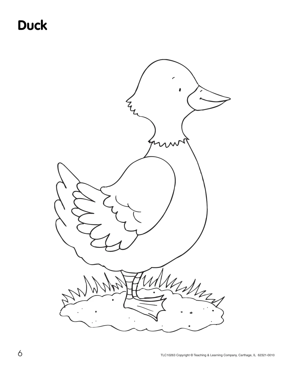 Duck coloring page: students color a large outline of a duck with folded wings standing on a grassy patch of ground