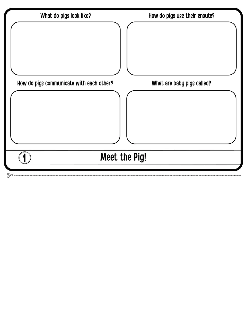 Meet the Pig! flap 1: answer what pigs look like, how they use snouts, how they communicate and what baby pigs are called