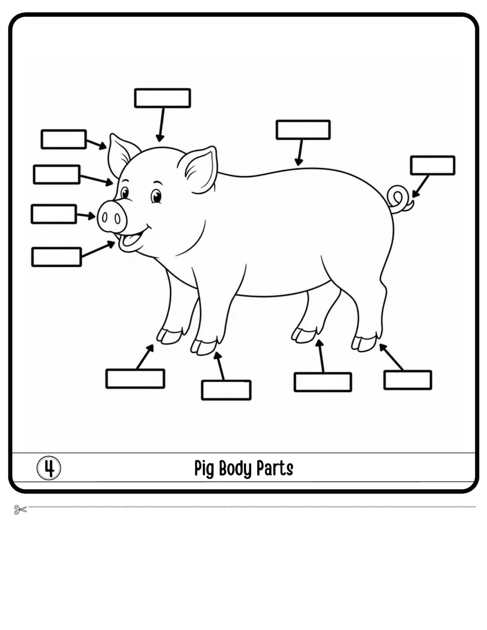 Pig Body Parts flap 4: students write 11 labels on a pig drawing whose arrows point to the ears, snout, tail and hooves