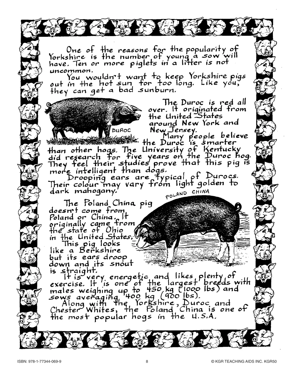 Breeds of Pigs, part 2: Yorkshire litters, the red Duroc and the Ohio-born Poland China, with drawings