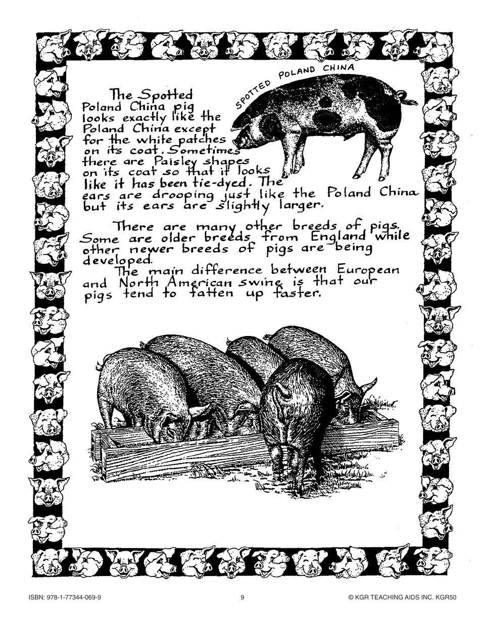 Breeds of Pigs, part 3: the Spotted Poland China and how European and North American swine differ