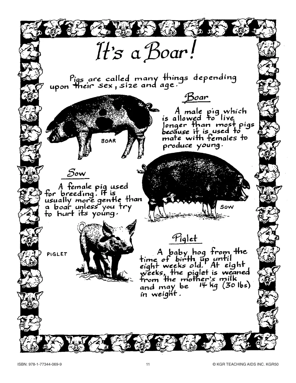 It's a Boar! info sheet defining boar, sow and piglet, with a drawing of each; piglets are weaned at eight weeks