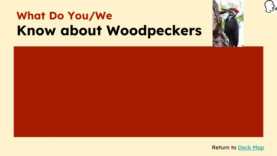 Prior-knowledge slide asks “What Do You/We Know about Woodpeckers” and provides space for responses