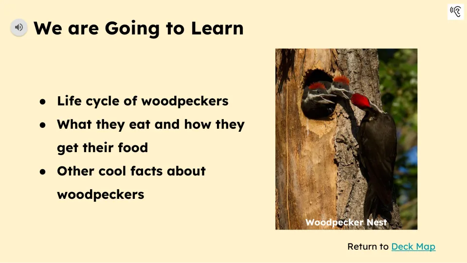 Learning goals introduce woodpecker life cycles, food, and feeding methods beside a nesting bird photo