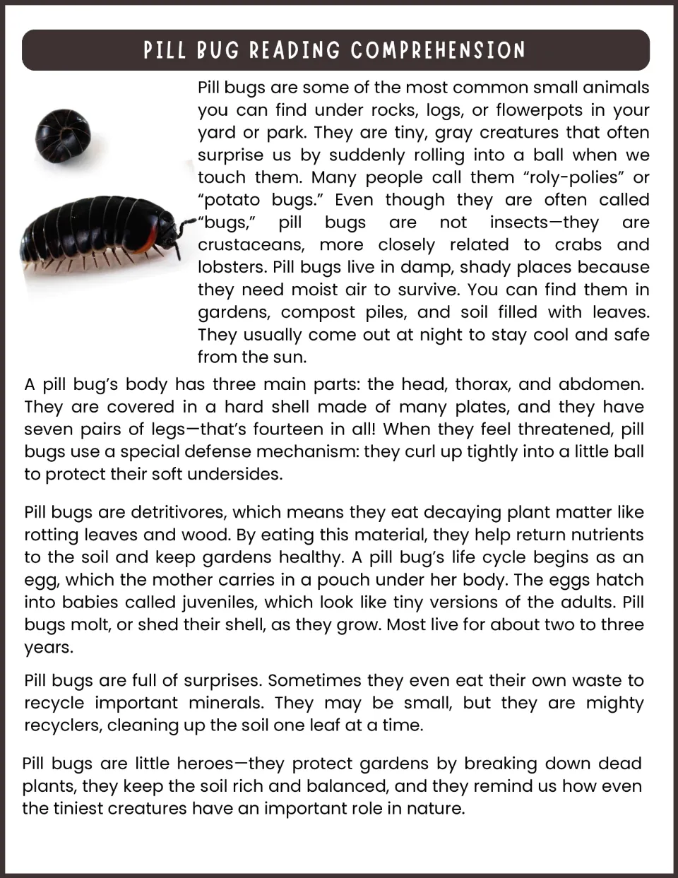 Pill bug reading passage explains habitats, body parts, defenses, diet, life cycle, and nutrient recycling.