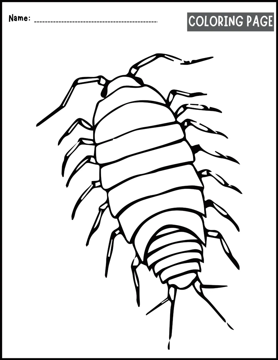 Pill bug coloring activity features a large outline of the animal, showing its segmented body and many legs.