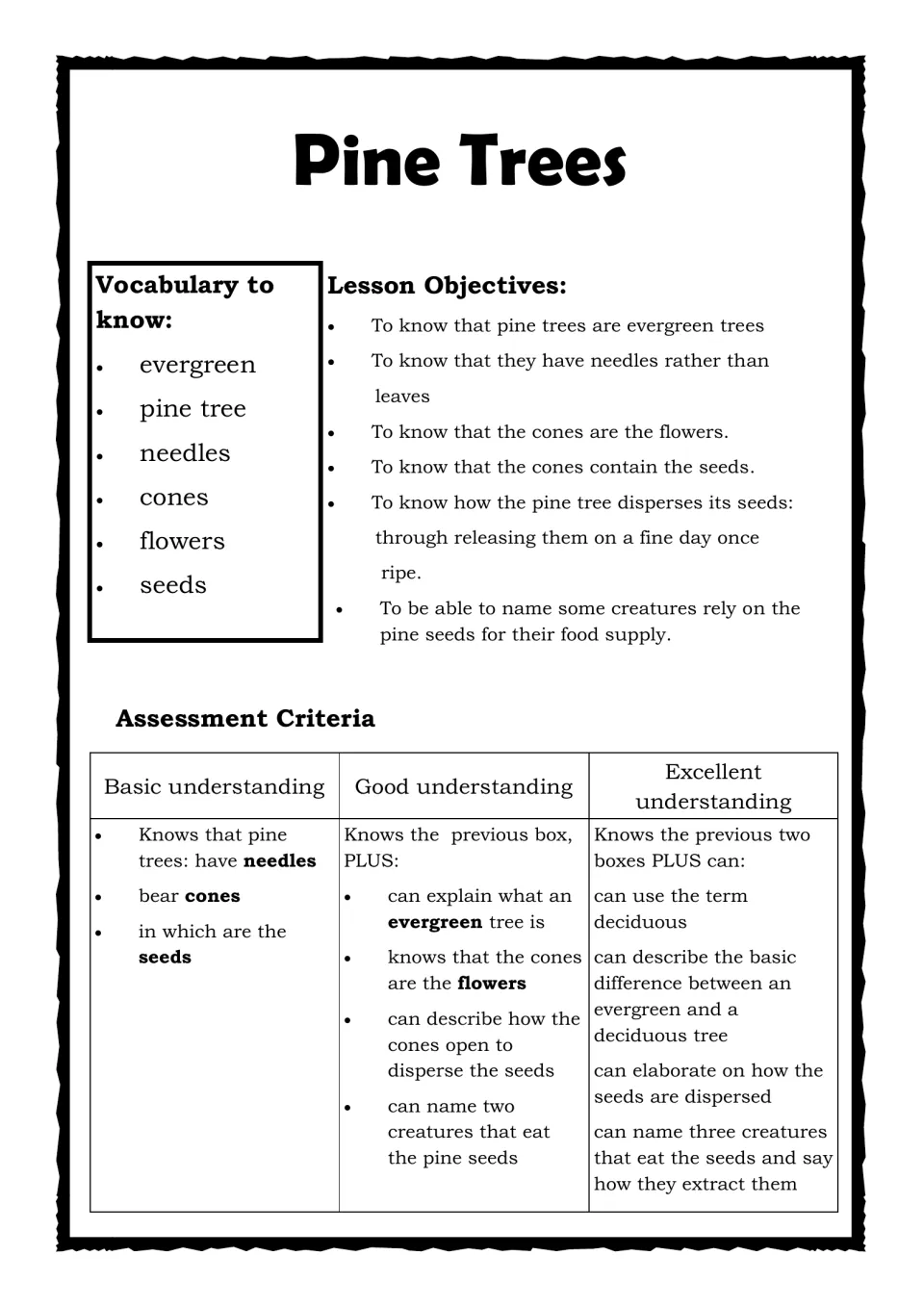 Pine tree vocabulary (evergreen, needles, cones, seeds), lesson objectives and a basic-good-excellent assessment rubric