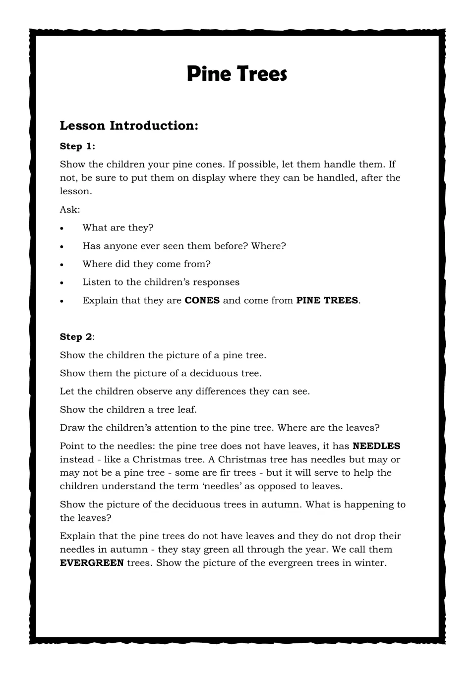 Lesson introduction steps 1-2: children handle pine cones, then compare pine and deciduous tree pictures to learn needles