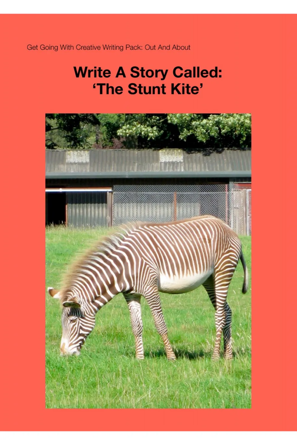 Cover of Write A Story Called: 'The Stunt Kite' from the Get Going With Creative Writing Pack: Out And About, zebra photo