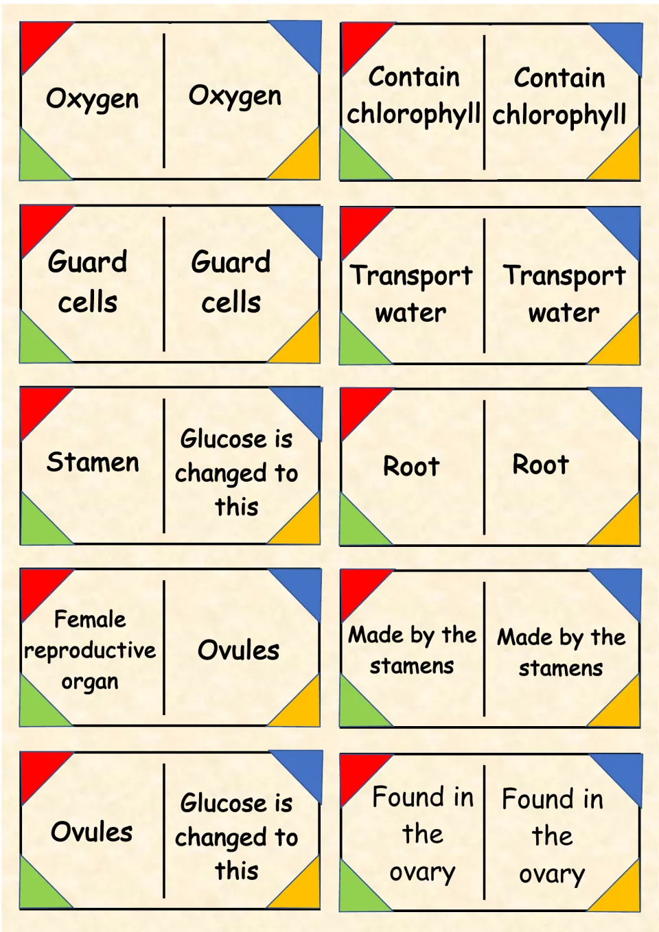 Flower and leaf terms on 10 dominoes: ovules, stamen and guard cells meet clues like found in the ovary and transport water