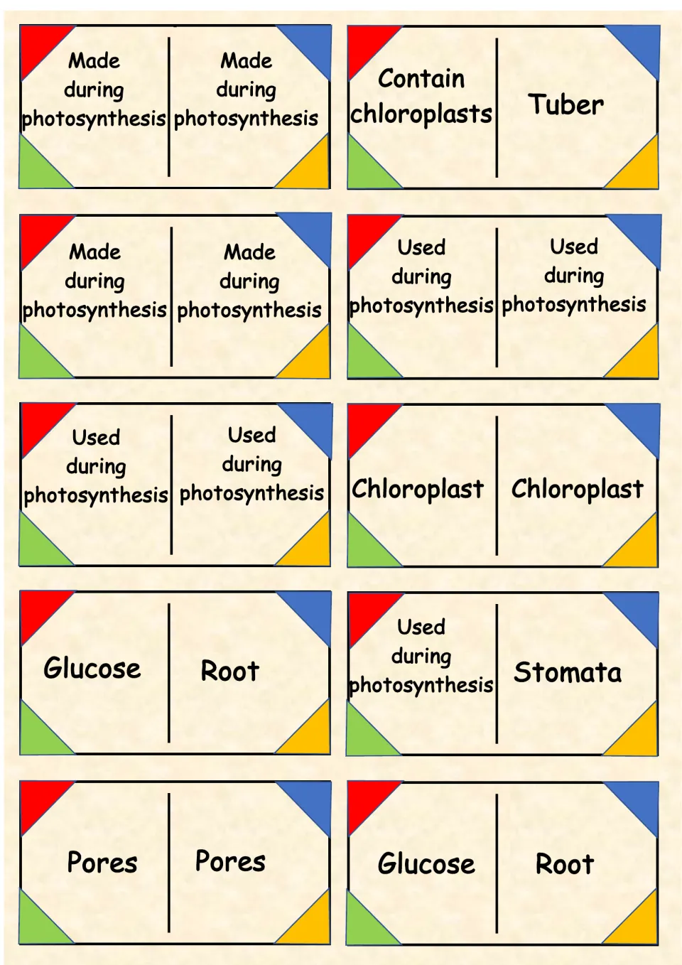 Photosynthesis dominoes: link glucose, chloroplast, stomata and tuber to clues like used or made during photosynthesis