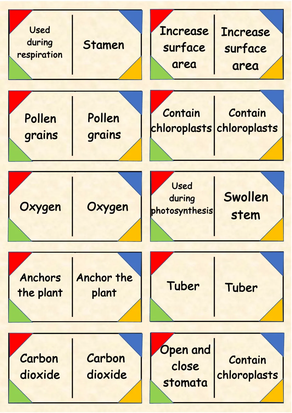 Gas exchange and storage cards pairing oxygen, carbon dioxide, tuber and pollen grains with clues like contain chloroplasts