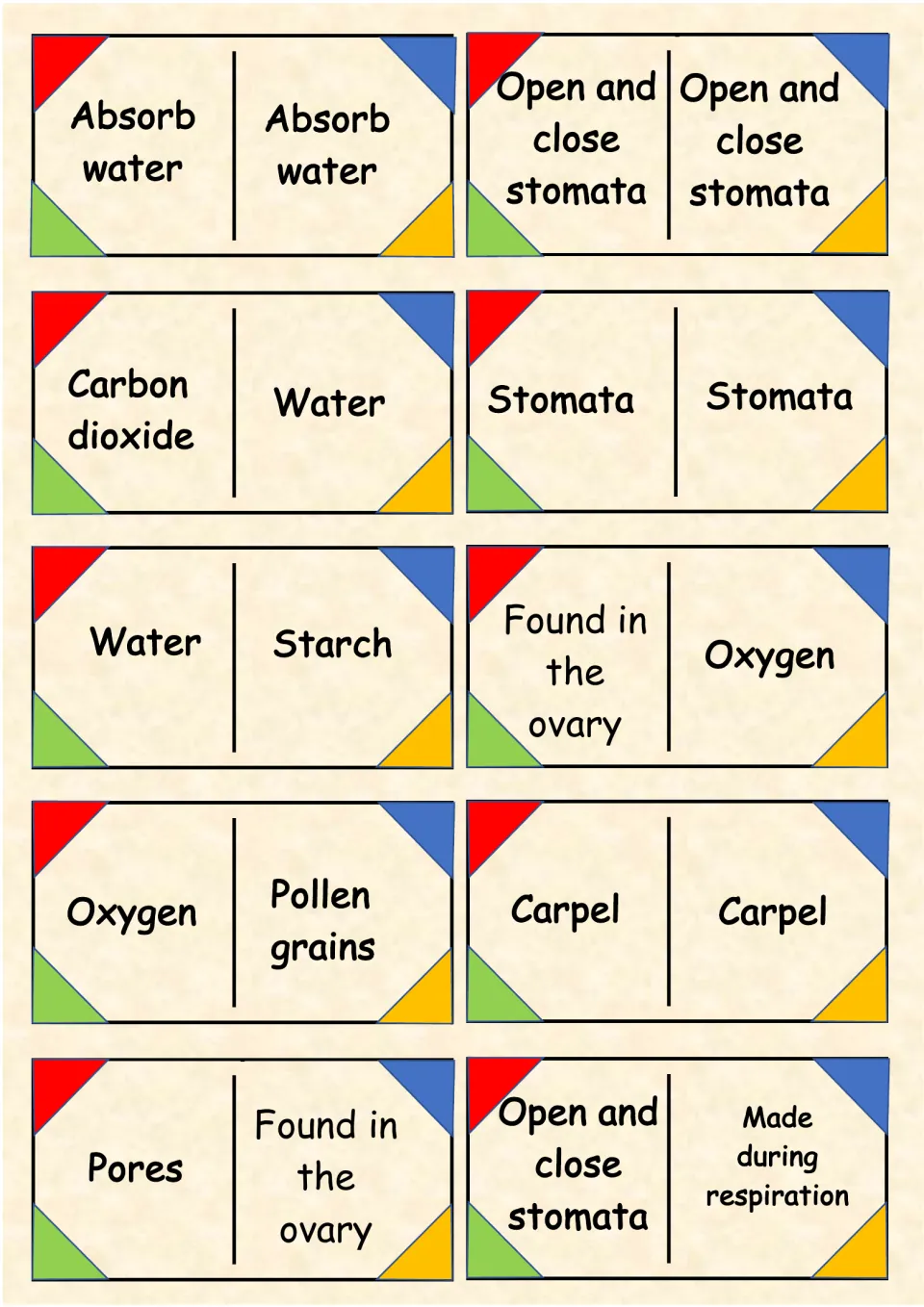 Stomata and pollination matching: join carbon dioxide, starch, carpel and pores to clues like made during respiration