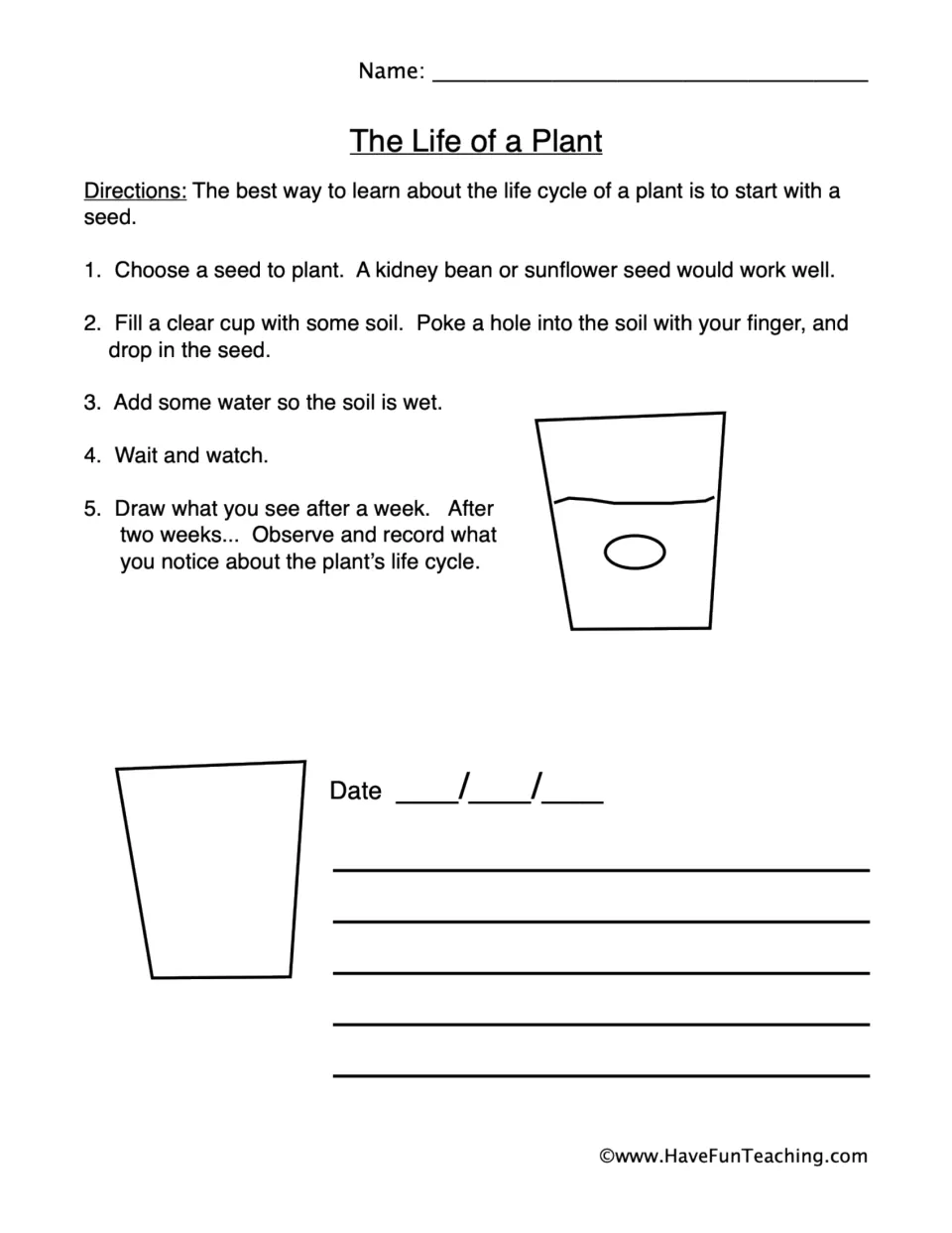 Plant observation sheet 1: five steps for planting a seed in soil, watering it, and recording its growth.