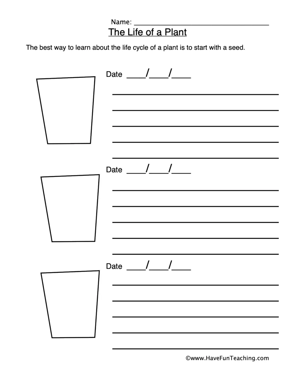 Plant observation sheet 2: three dated entries for drawing plant growth and writing observations over time.