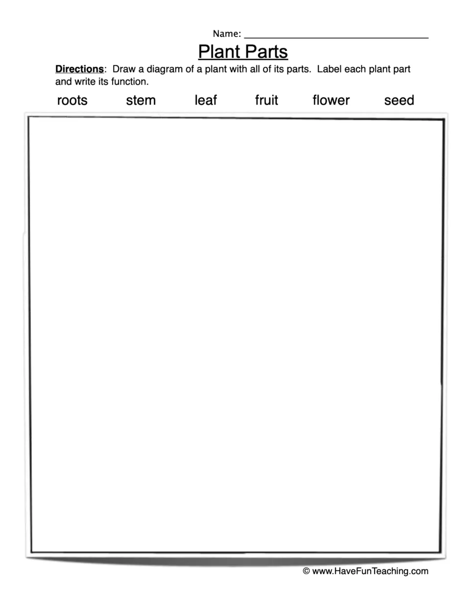 Plant parts: students draw a plant diagram, label roots, stem, leaf, fruit, flower and seed, and write each function